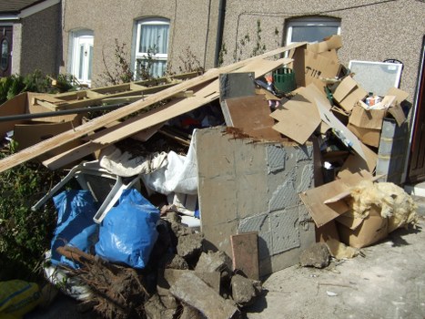 Professional gardener removing debris